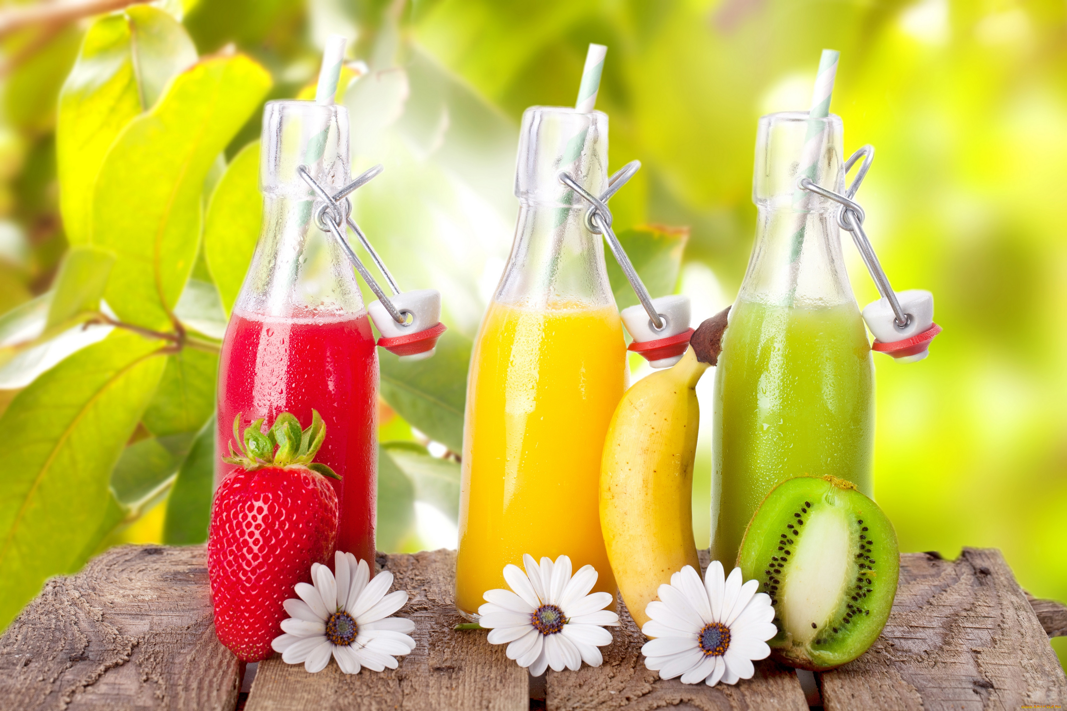 , ,  , flowers, , citrus, juice, , 